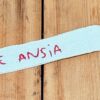 PORTACHIAVI "CHE ANSIA" in corsivo ricamato a mano
